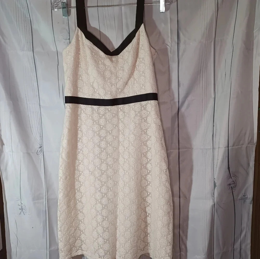 Ann Taylor Loft Black Trim Ivory Lace Sleeveless Dress Size 8p